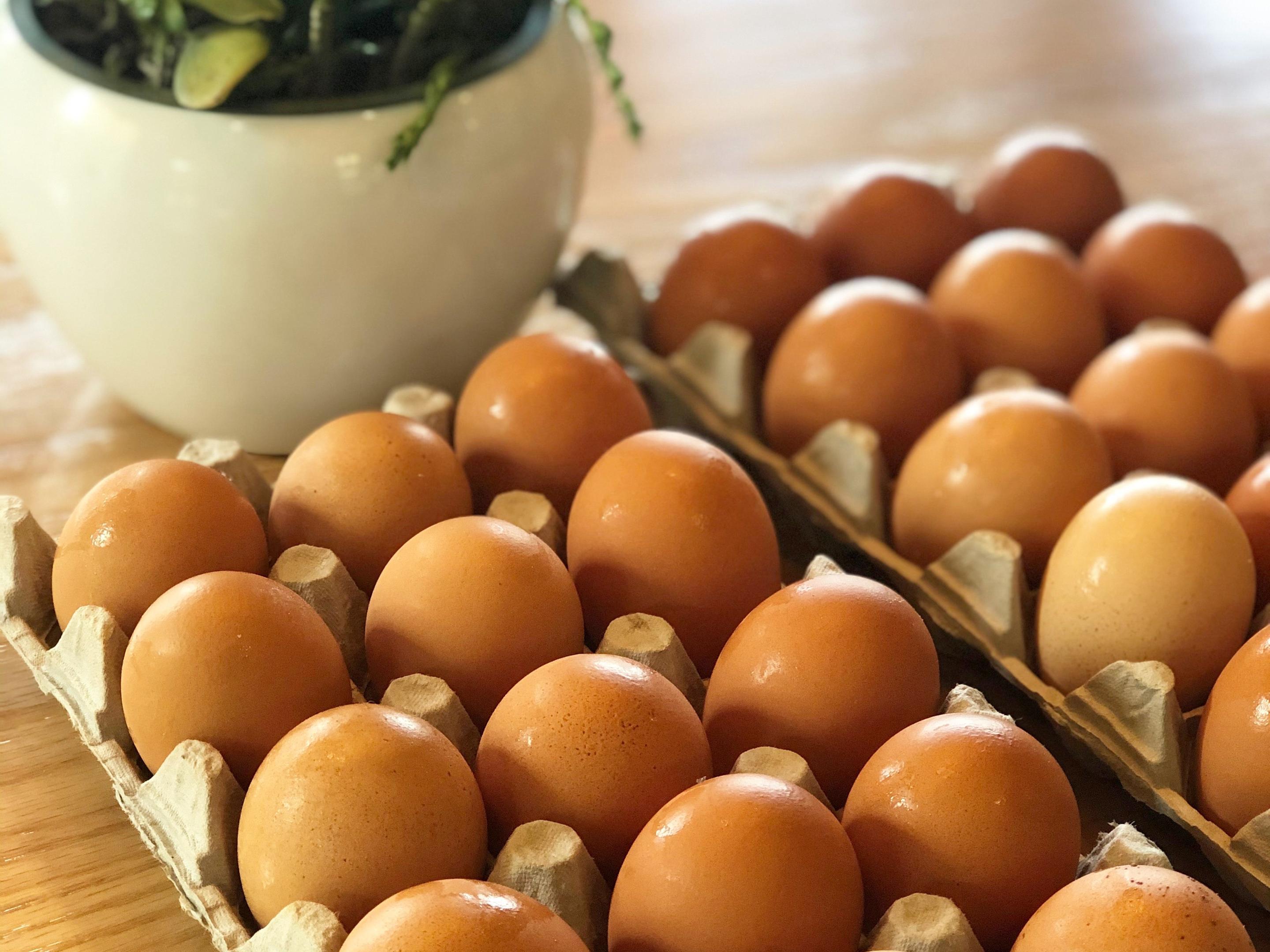 Organic Pasture-Raised Egg