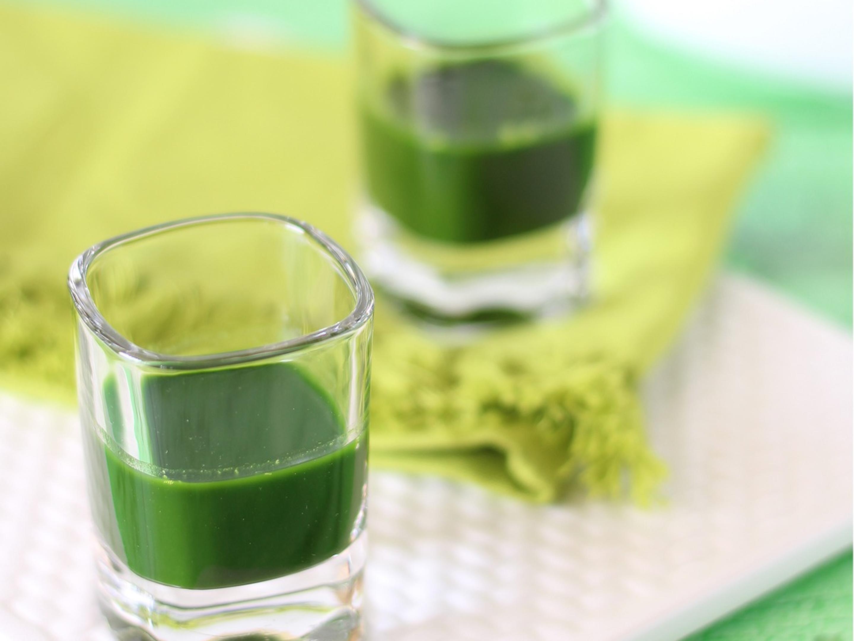 Organic Shot | Wheat Grass