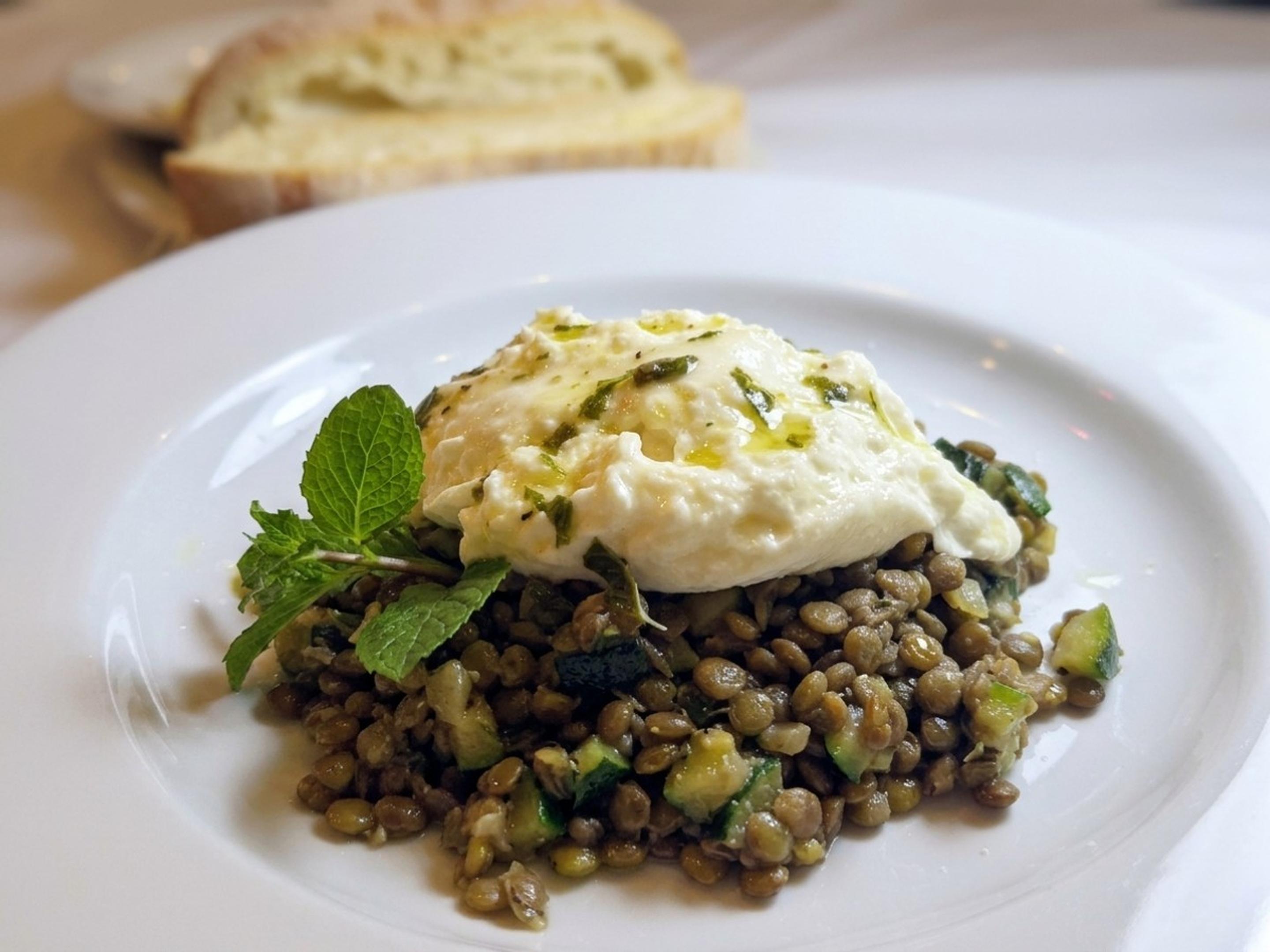 Warm Lentil Salad with Burrata and Basil Vinaigrette