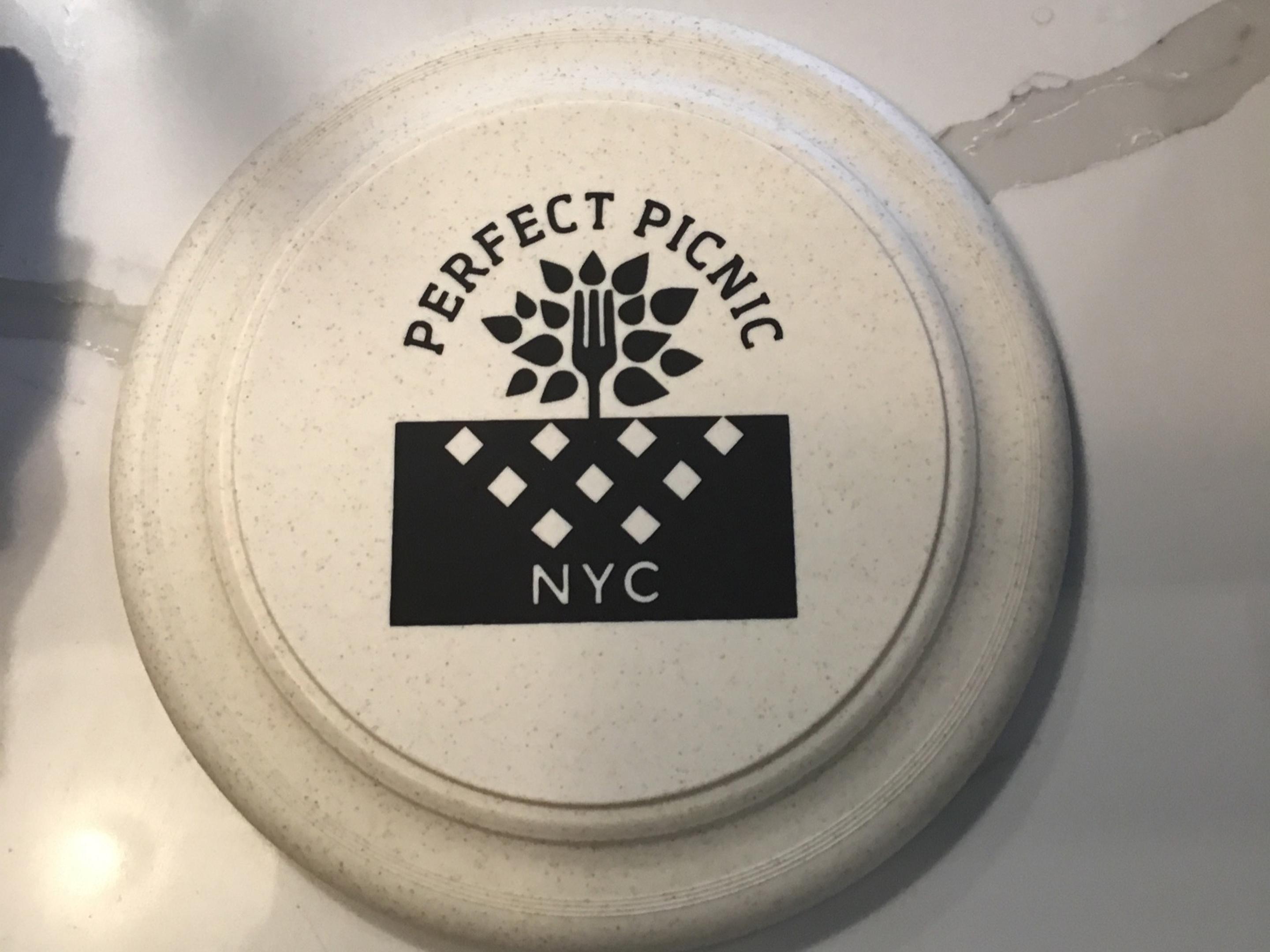 Perfect picnic frisbee
