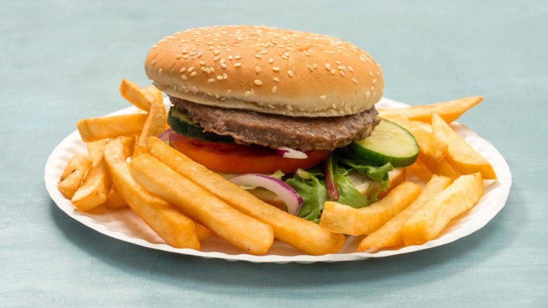 Cheese Burger & Fries