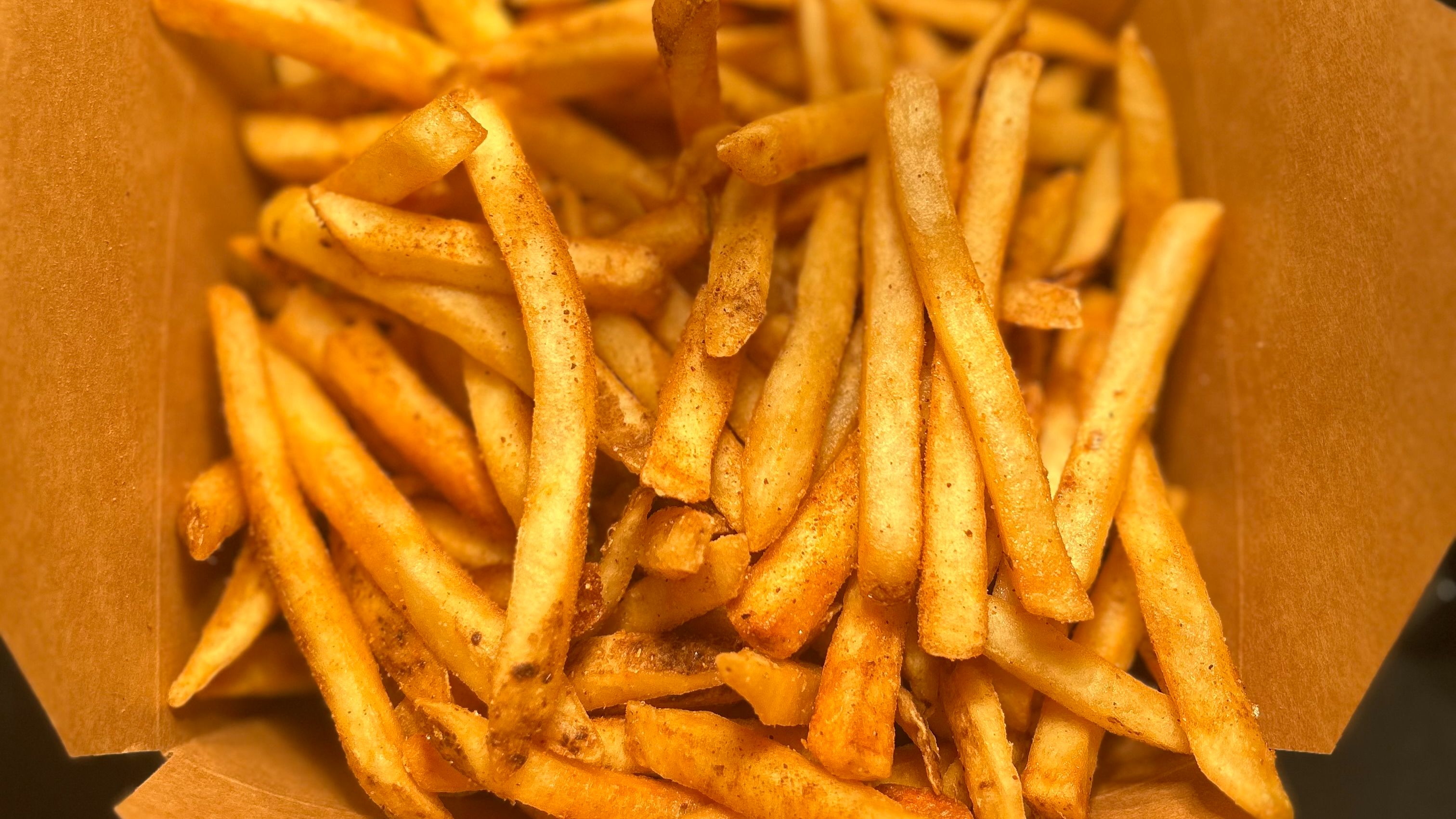 Regular Fries (L)