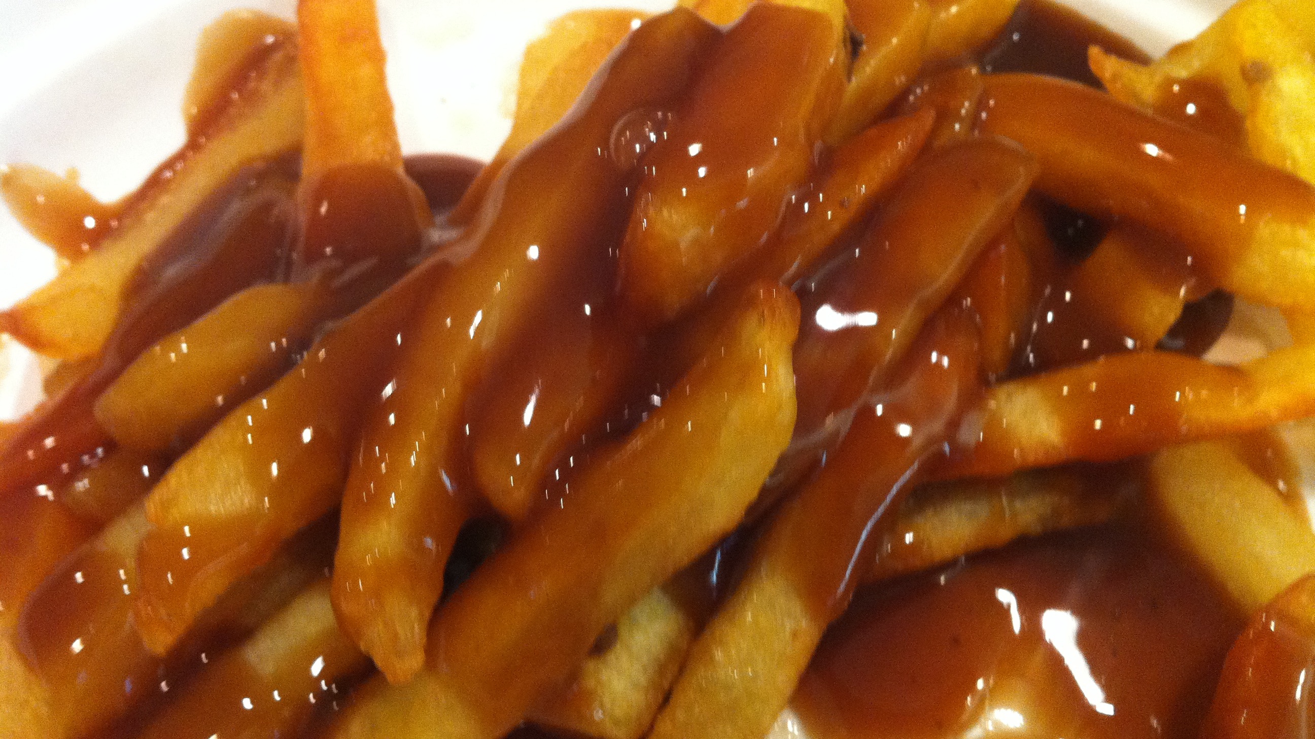 Large Gravy Fries