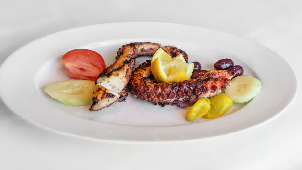 CHARGRILLED OCTOPUS