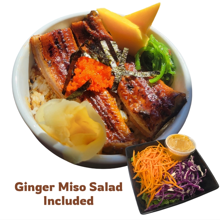 Unagi Don (EEL)